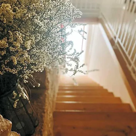 Bed & Breakfast Marnudd Bisceglie