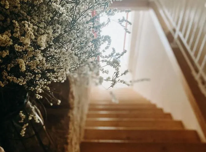 Marnudd לינה וארוחת בוקר